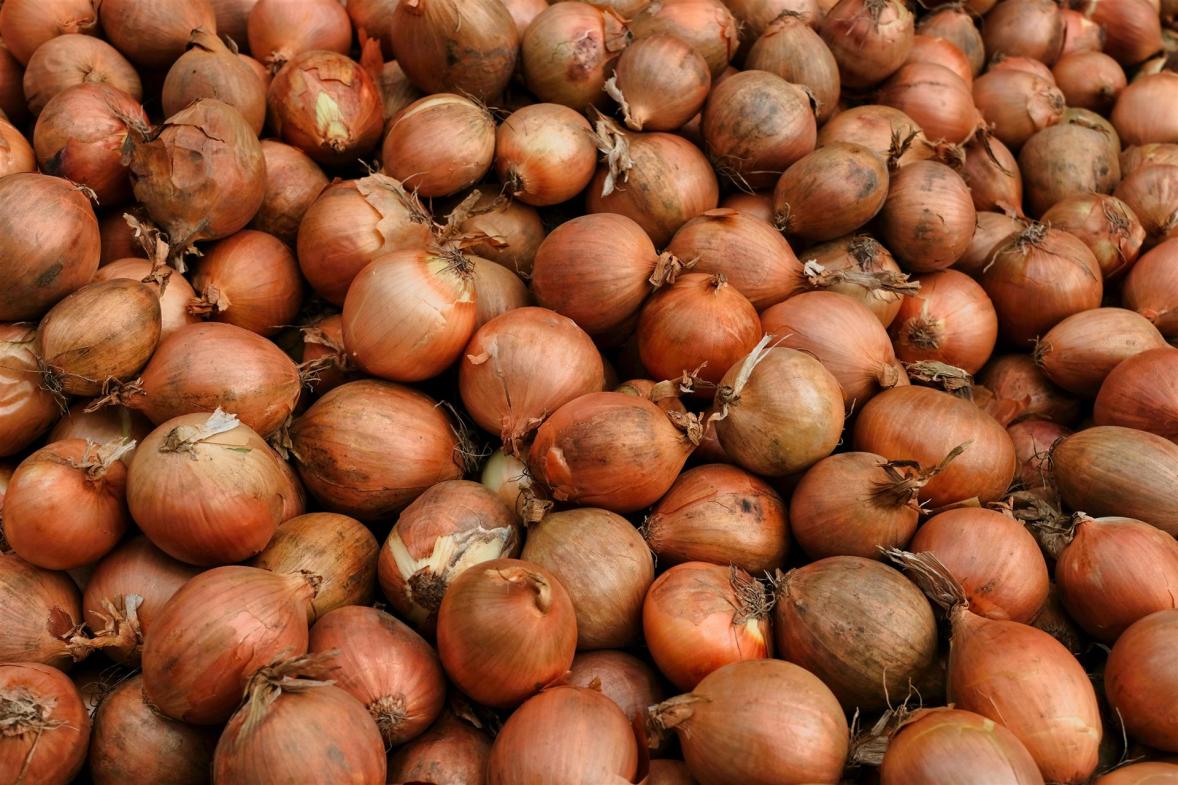 onions-4833002